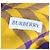 Burberry Camicia a quadri in cotone gialla - vista 7