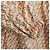 Burberry Seiden-Windjacke mit Einhorn-Print - Ansicht 8