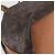 LOUIS VUITTON Monogram Petit Noe Shoulder Bag M42226 LV Auth 211205 - Jerrillo - vista 13