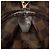 Louis Vuitton Brown Damier Ebene Rivington PM - vista 6