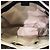 Borsa Gucci GG Interlocking in pitone - vista 8