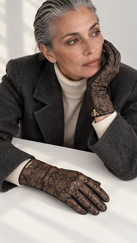 Look Just Cavalli