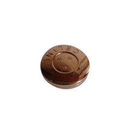 Céline-Pins & brooches-Golden