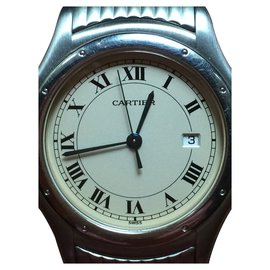 Cartier-Cougar-Silvery