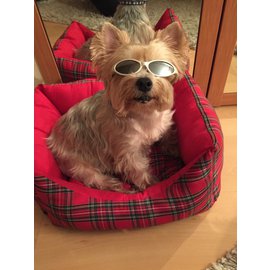 Autre Marque-Eyewear-Silvery