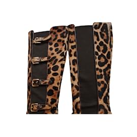 Dolce & Gabbana-Stiefel-Leopardenprint