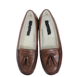 Fairmount-Flats-Brown