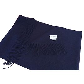 Eric Bompard Lenços Roxo