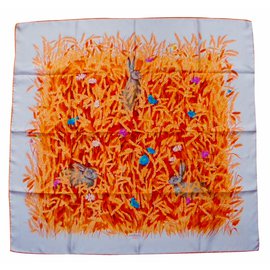 Hermès Sciarpe di seta Multicolore