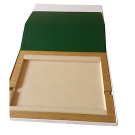 Compatibilidad con Ipad - Rolex Verde