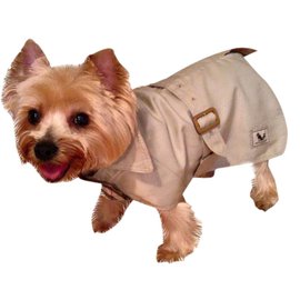 Burberry-Cão pequeno de trincheira-Bege