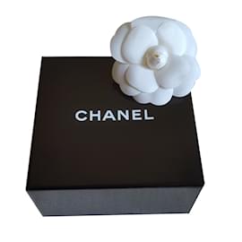 Chanel-broche de camelia-Blanco