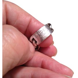 Dior-Ring-Silvery