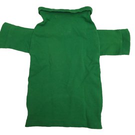 Ralph Lauren Collection-Dog polo-Green