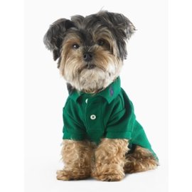 Ralph Lauren Collection-Cão polo-Verde