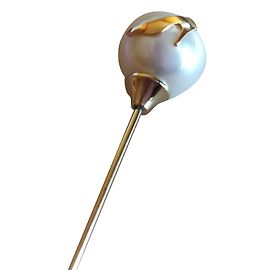 Salvatore Ferragamo Pin & Brosche Weiß Golden