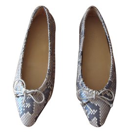 Car Shoes Sapatilhas de Python Cinza Cinza