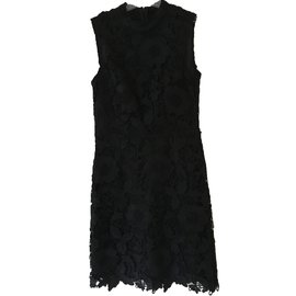 Coast Spitzenkleid Schwarz Schwarz