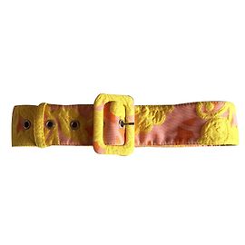 Miu Miu Ceinture Multicolore