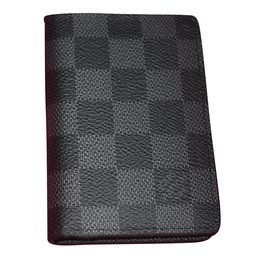 Louis Vuitton-Taschenorganisator-Grau