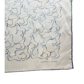 Hermès-Men Scarf-Grey