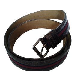 Miu Miu Ceintures Marron Rouge Bleu