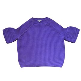 Cos saltador Roxo