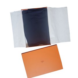 Hermès-Men Scarf-Navy blue