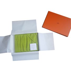 Hermès-Men Scarf-Green