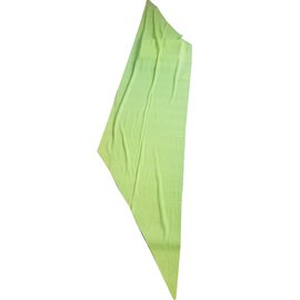 Hermès-Men Scarf-Green