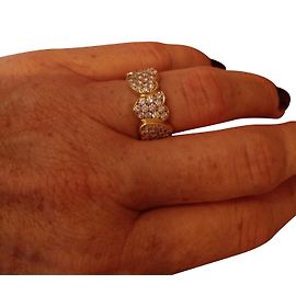 Fred Anel Dourado