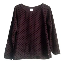 Des Petits Hauts Raymond Preto