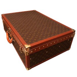 Louis Vuitton-Alzer Travel bag-Brown
