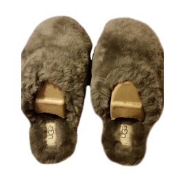 Ugg Mulas Cinza