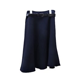 Miu Miu die Röcke Blau