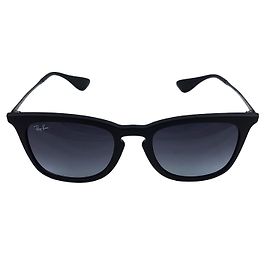 Ray-Ban RB 4221 Sunglasses Other