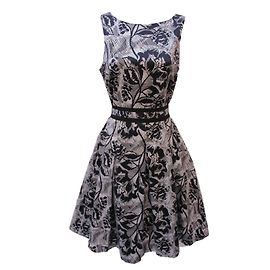 Coast Dress Cream Navy blue