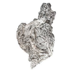 Alexander Mcqueen-Scarves-Black,White