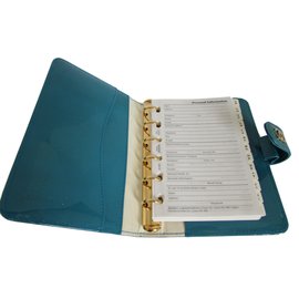 Chanel-Notizbuch-Blau,Grün