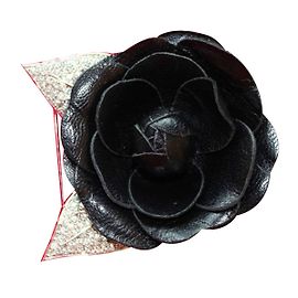 Swarovski Alfinetes e broches Multicor