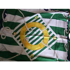 Lenço Céline de seda de cetim verde padrão marinho Branco Dourado Verde