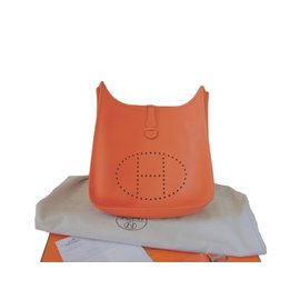 Hermès-Evelyne 3-Arancione