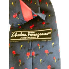 Salvatore Ferragamo-ties-Multiple colors