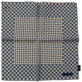 Corneliani-Scarf-Blue