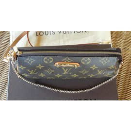 Louis Vuitton-Handbags-Chestnut