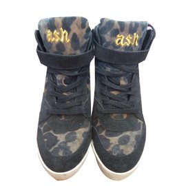 Ash Baskets Imprimé léopard