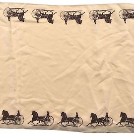 Céline Silk Scarf Beige Beige