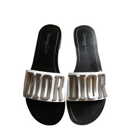 Dior Mules Multicolore