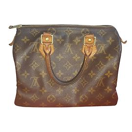 Louis Vuitton Speedy Brown Cloth Handbag Brown