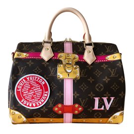 Louis Vuitton-Speedy Shoulder Strap 30-Multiple colors